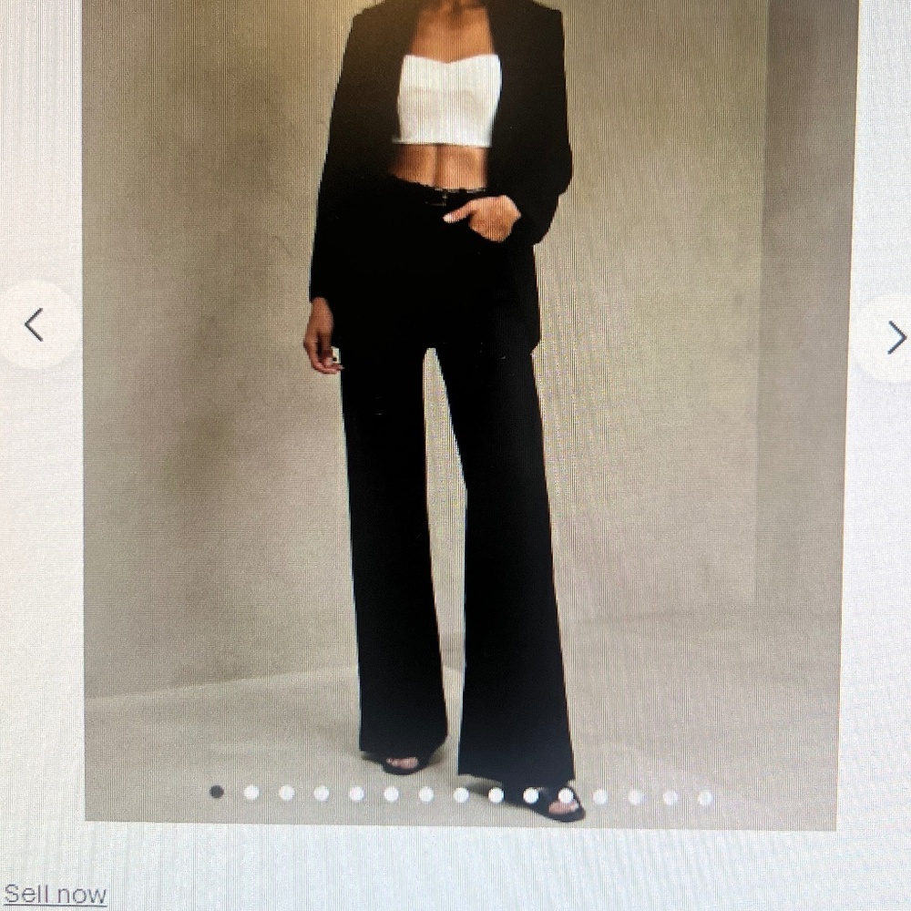 BANANA REPUBLIC LIDO WIDE-LEG ITALIAN WOOL PANT